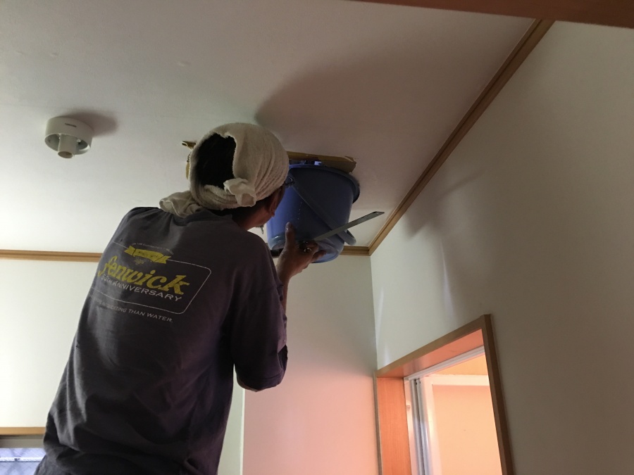 天井から流れ落ちる雨水をバケツでキャッチする職人