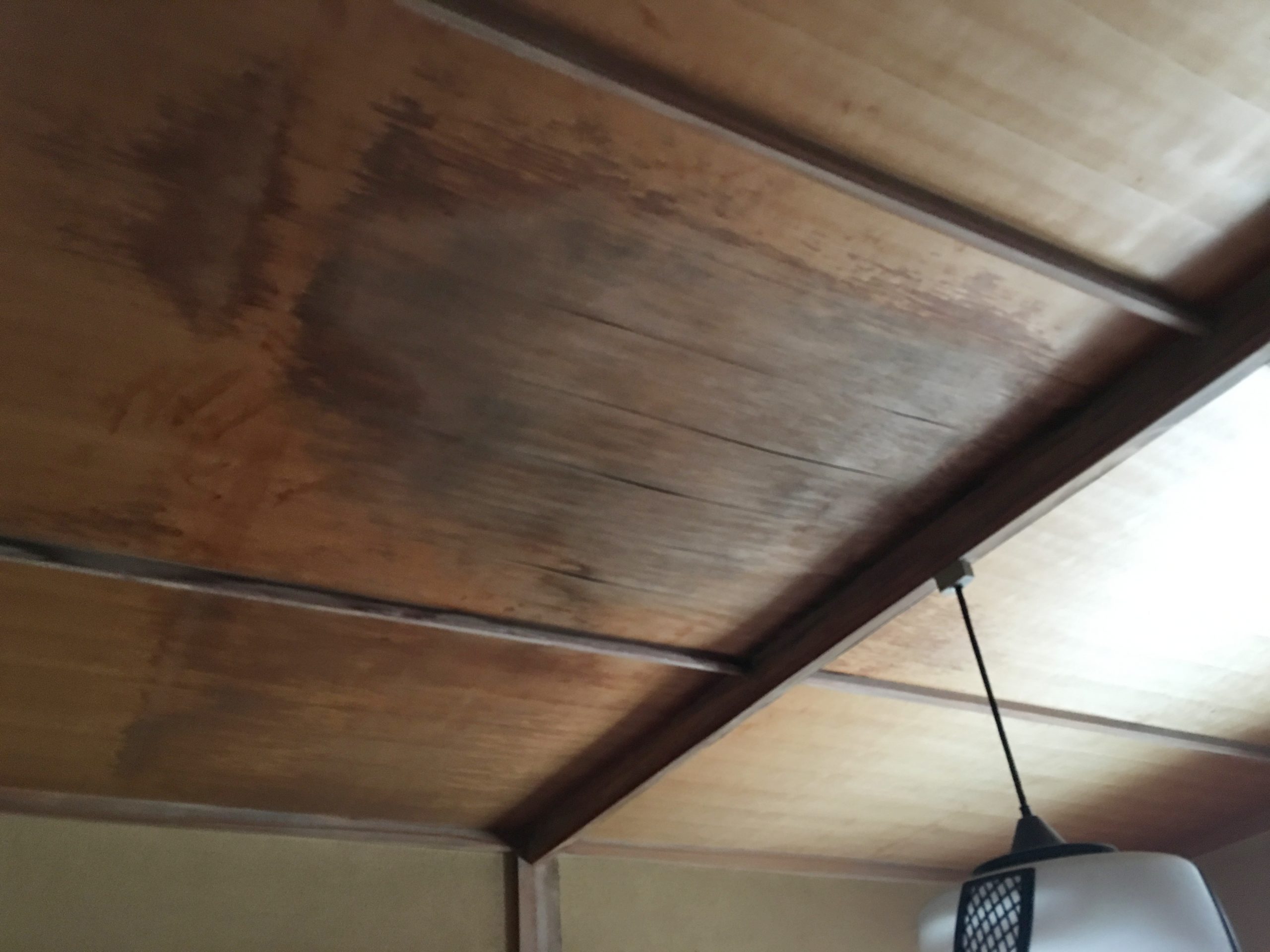 雨水によりたわんだ天井板