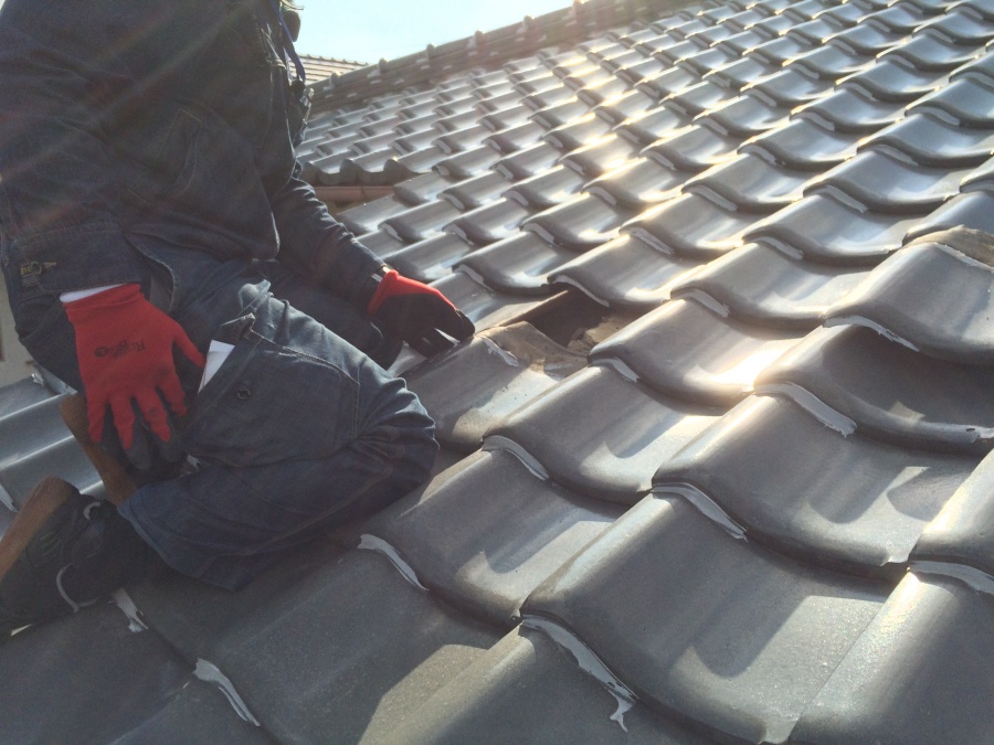 屋根調査する職人