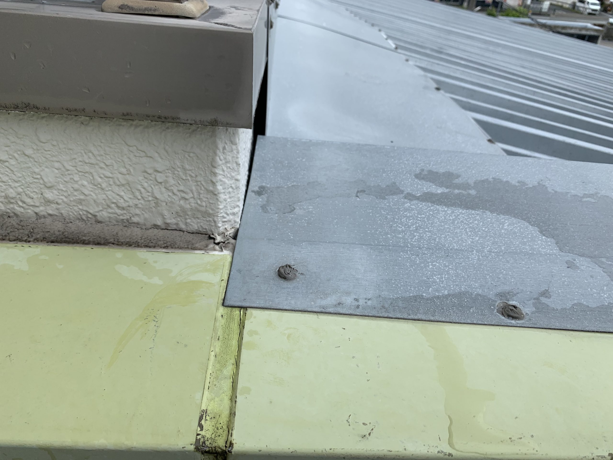 雨漏り箇所真上