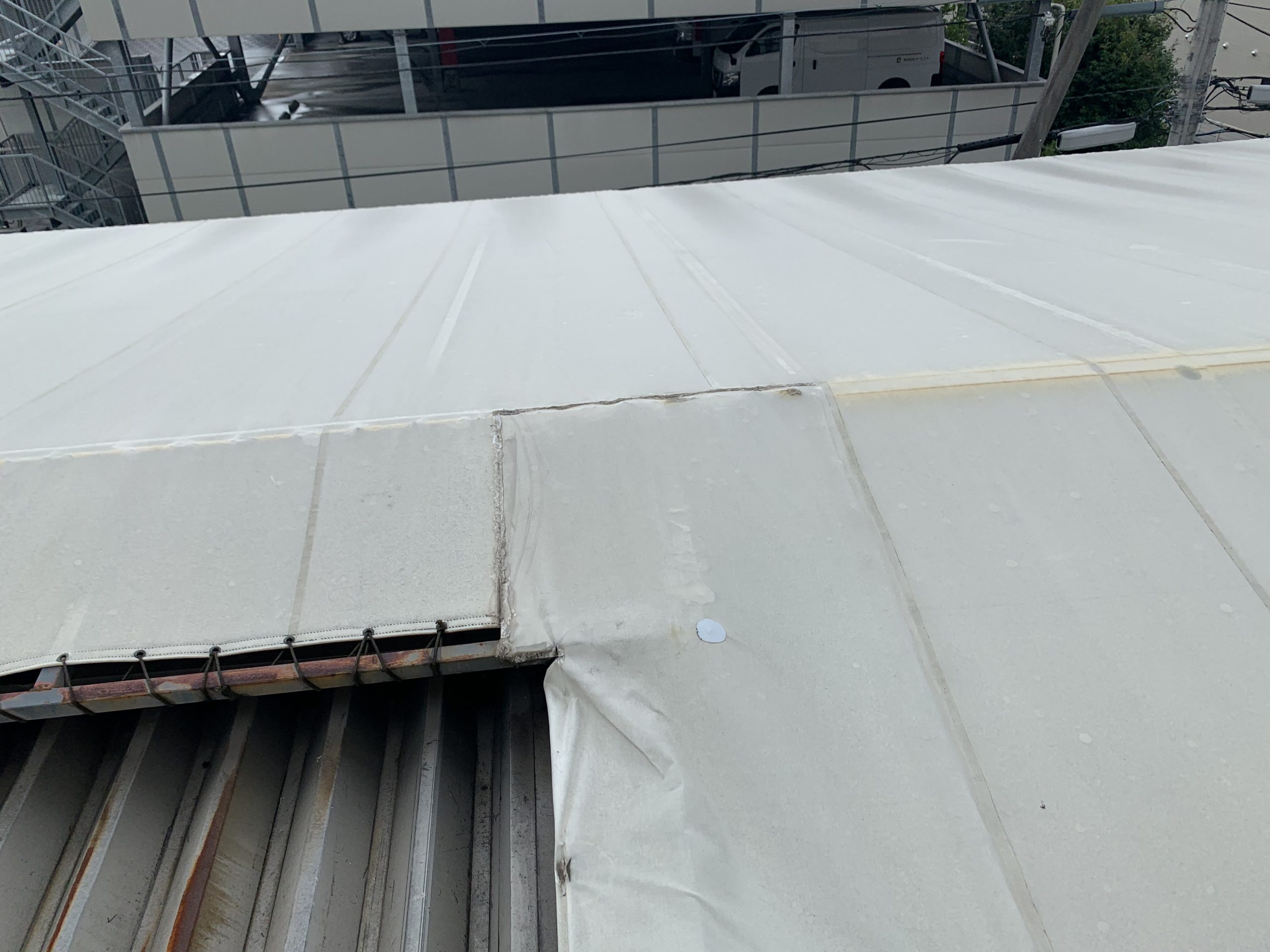 テント屋根の調査中