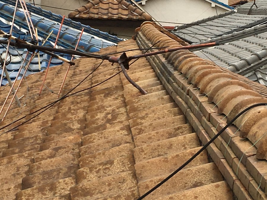 セメント瓦屋根