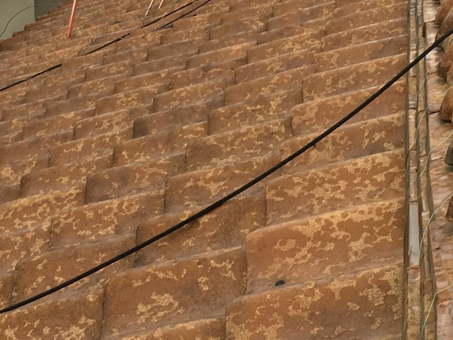 セメント瓦屋根