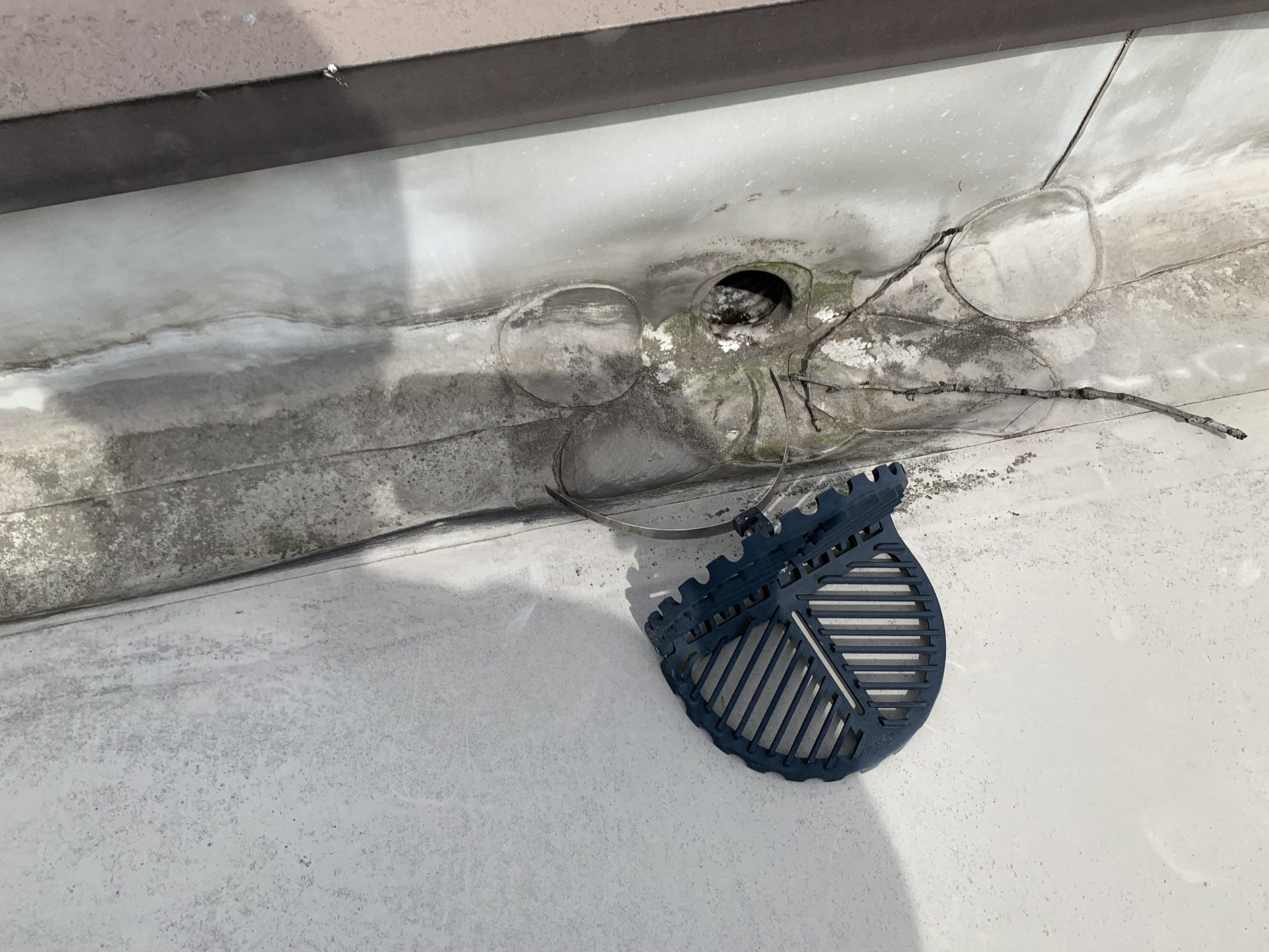 排水口の蓋を開ける