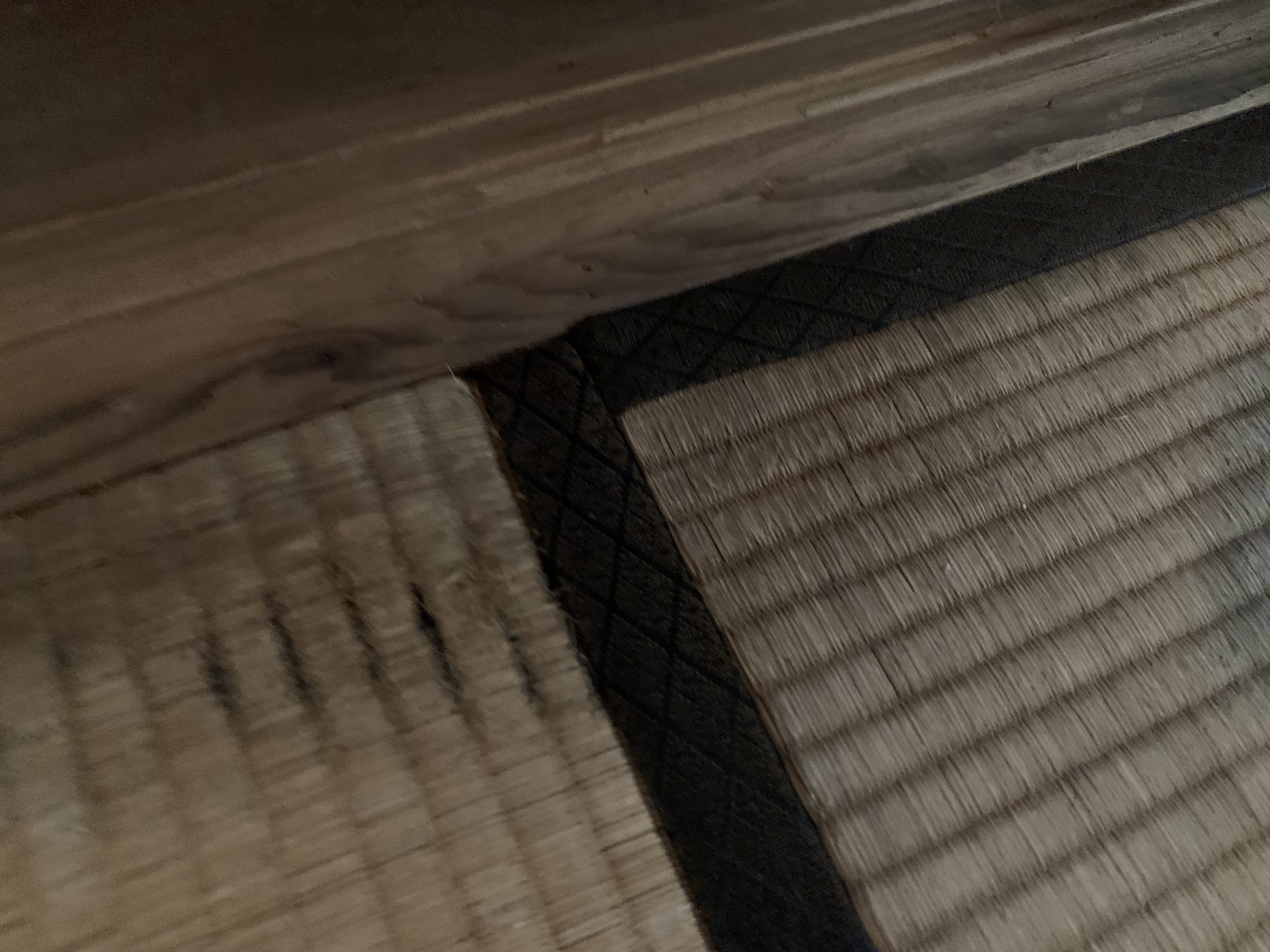 雨漏りにより傷んだ畳