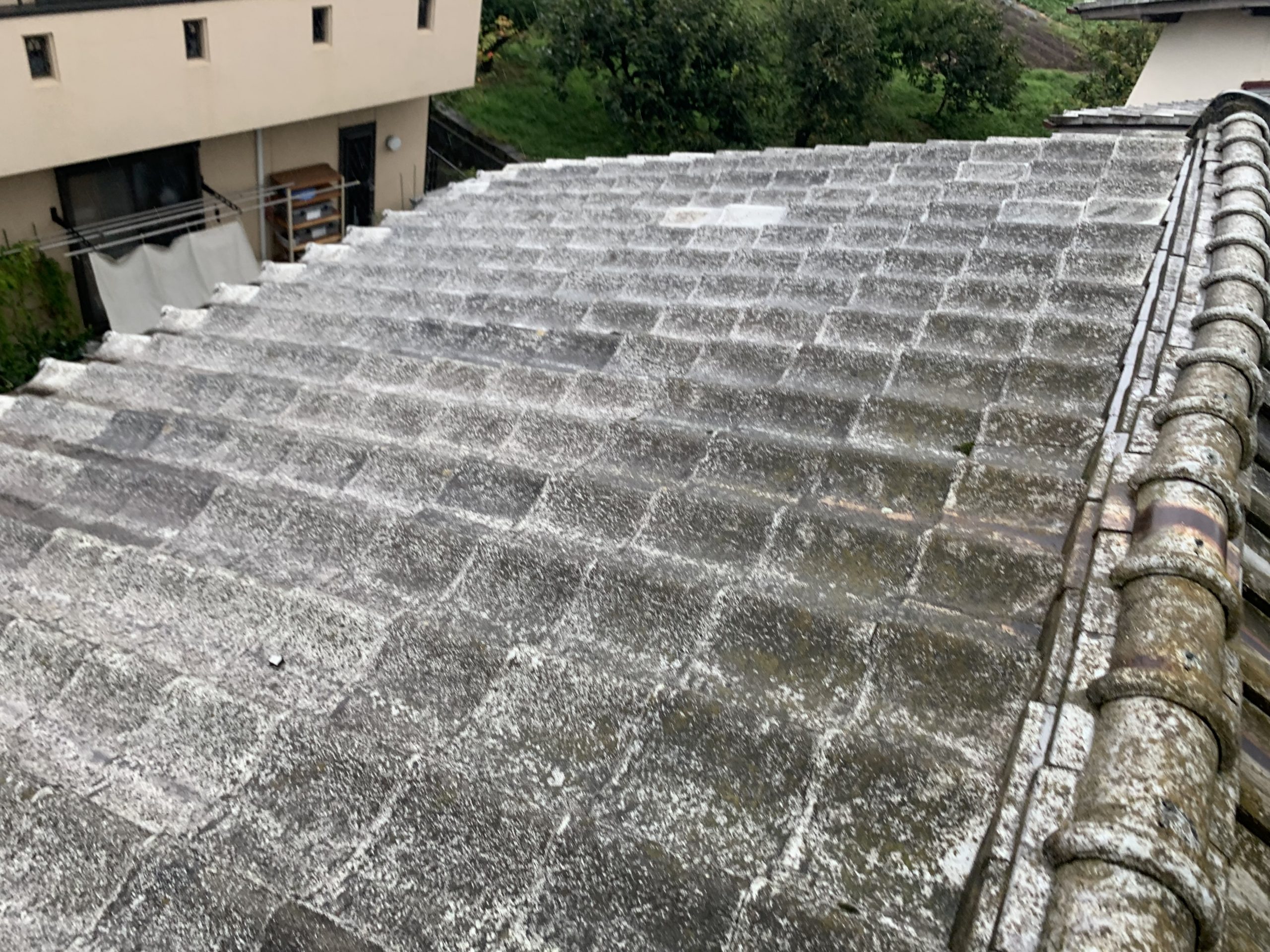 雨漏り箇所真上の瓦屋根