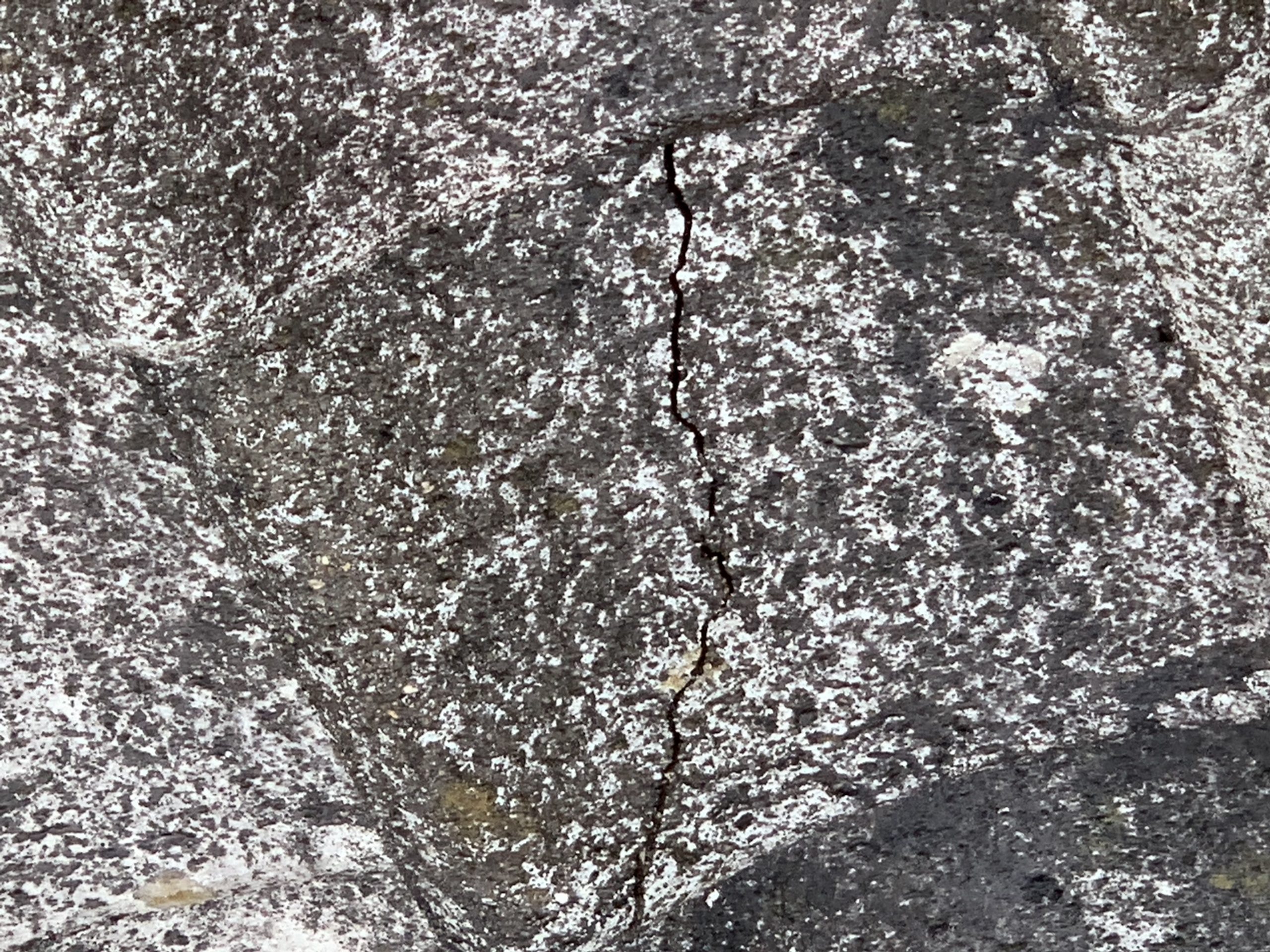 セメント瓦に生じた亀裂