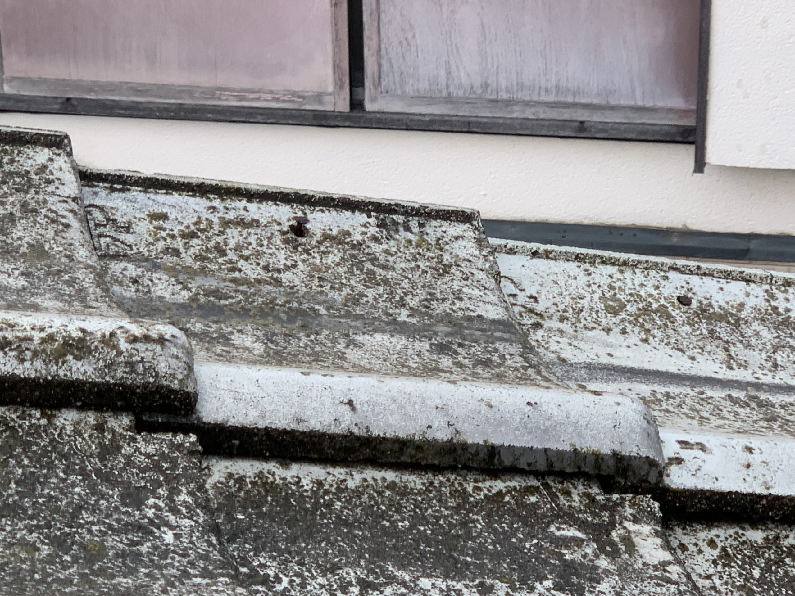 瓦固定用の釘が浮いている