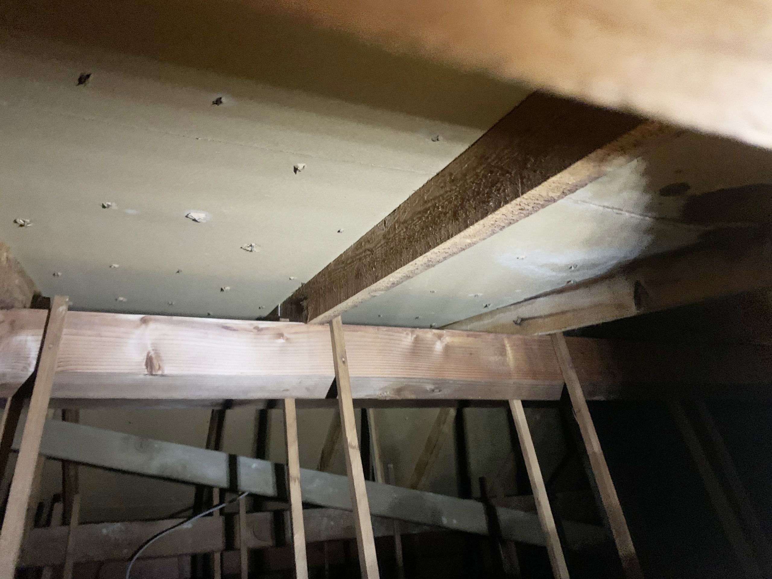 雨漏り箇所真上にあたる屋根裏