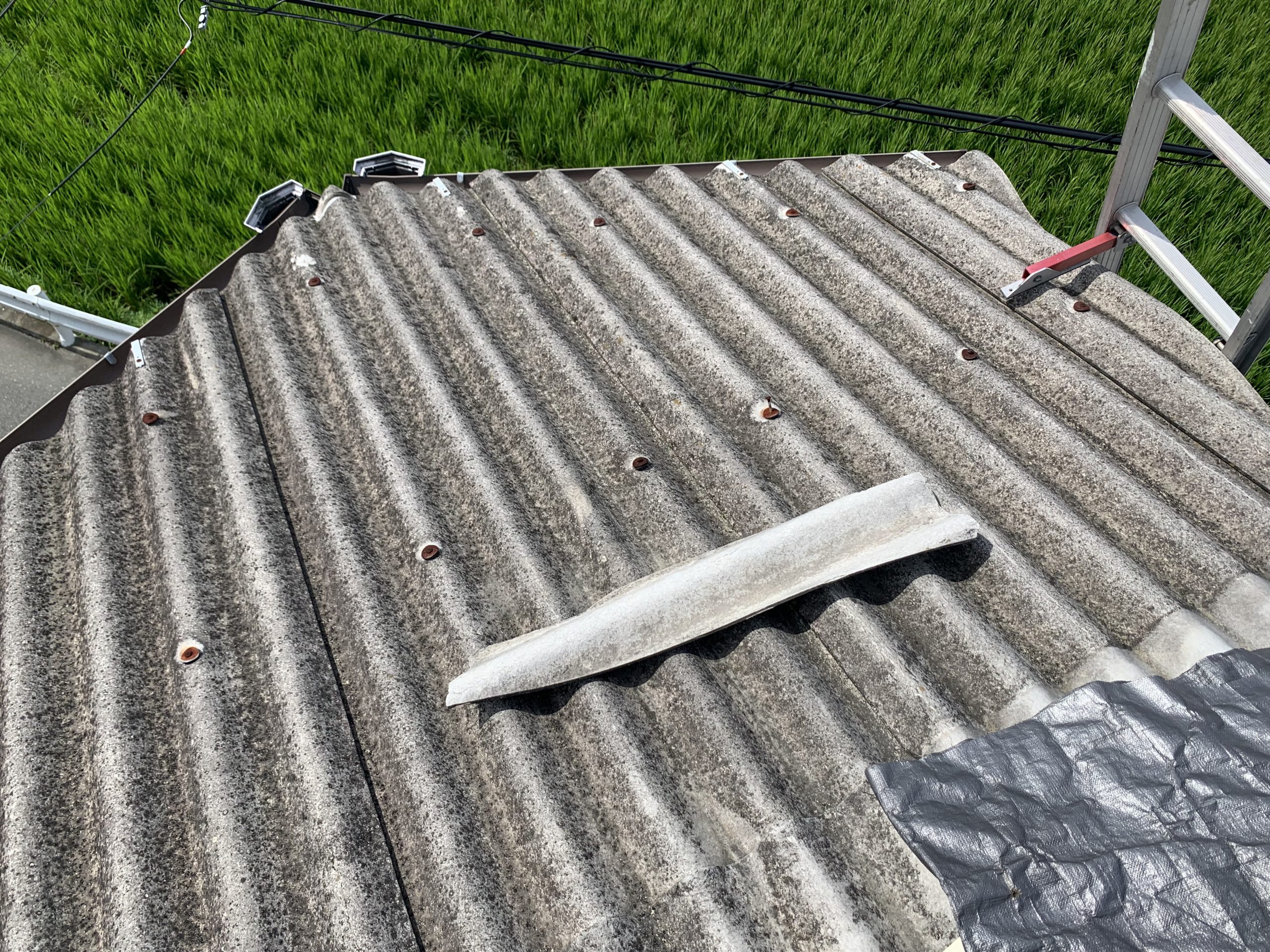 台風被害により破損した屋根材の破片