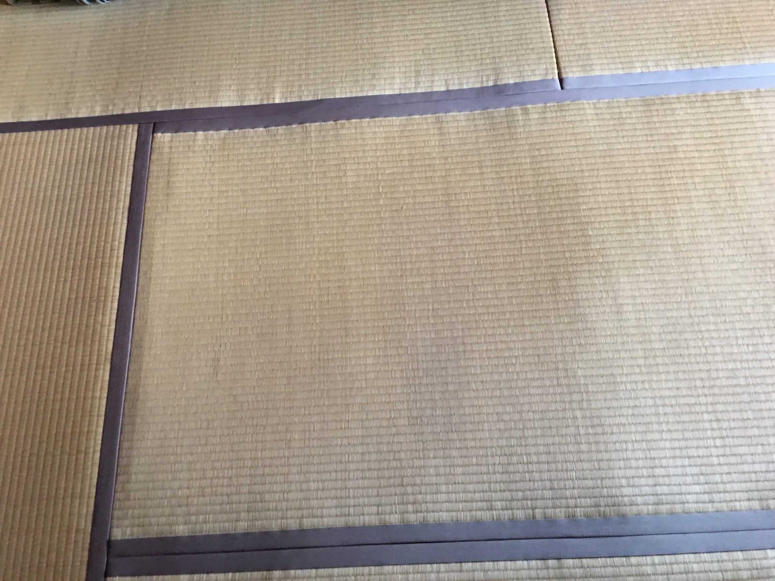 湿気で傷んだ畳