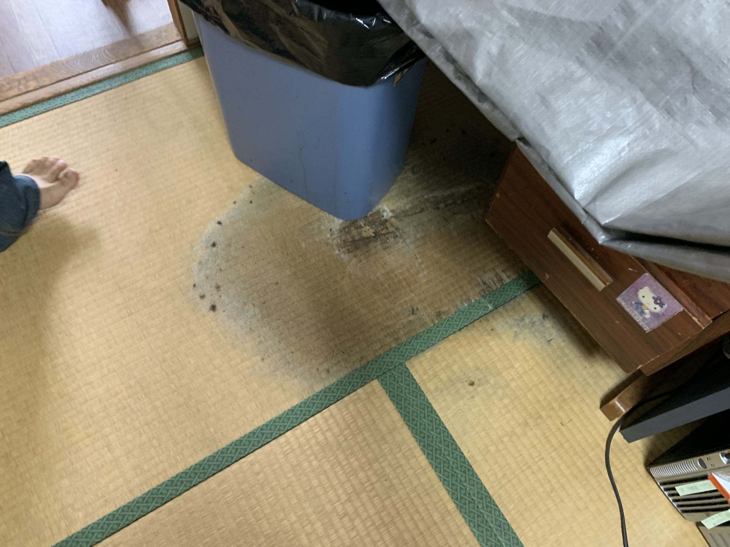 雨漏りによって傷んだ畳