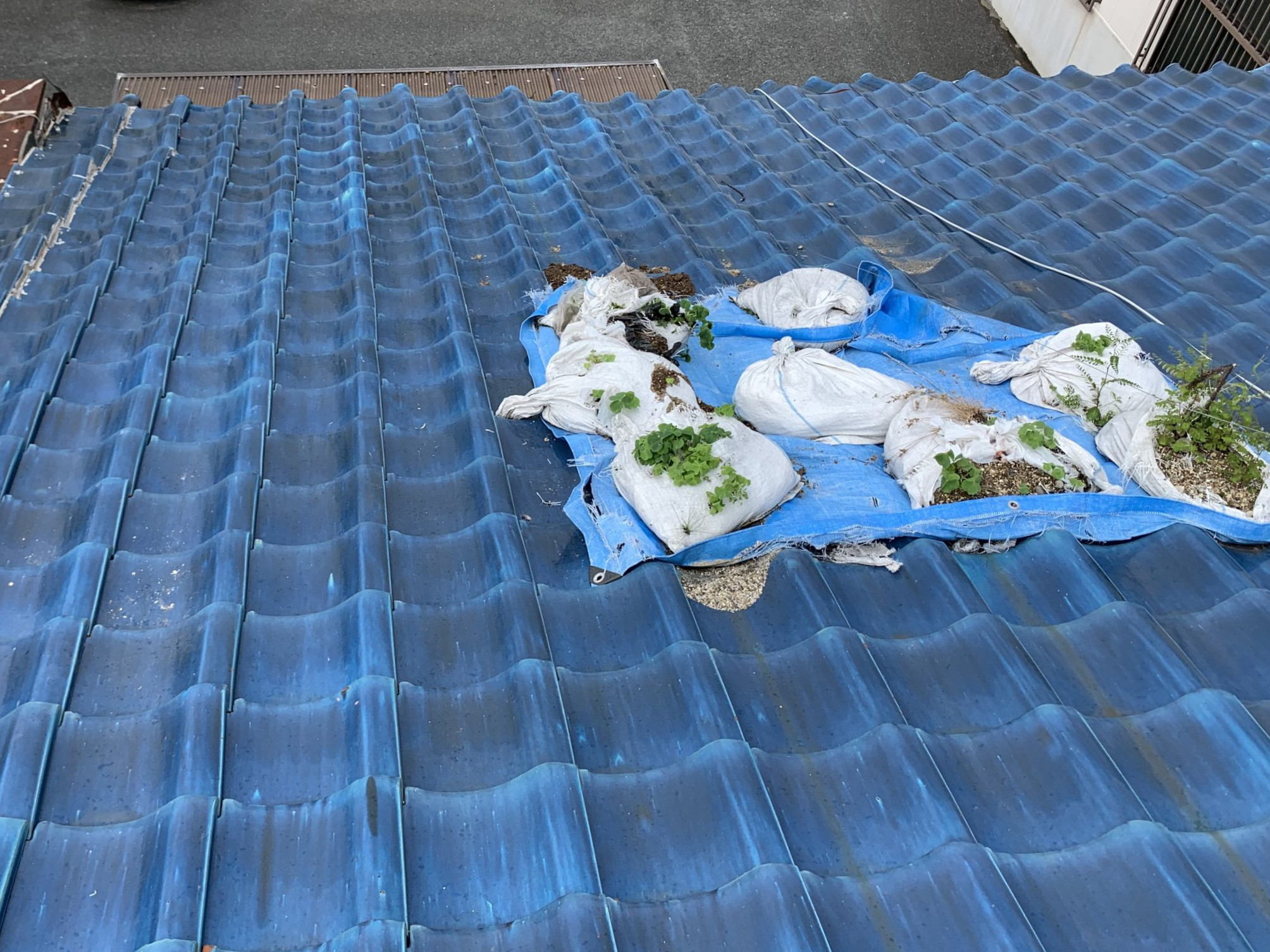 応急処置がなされた屋根平部