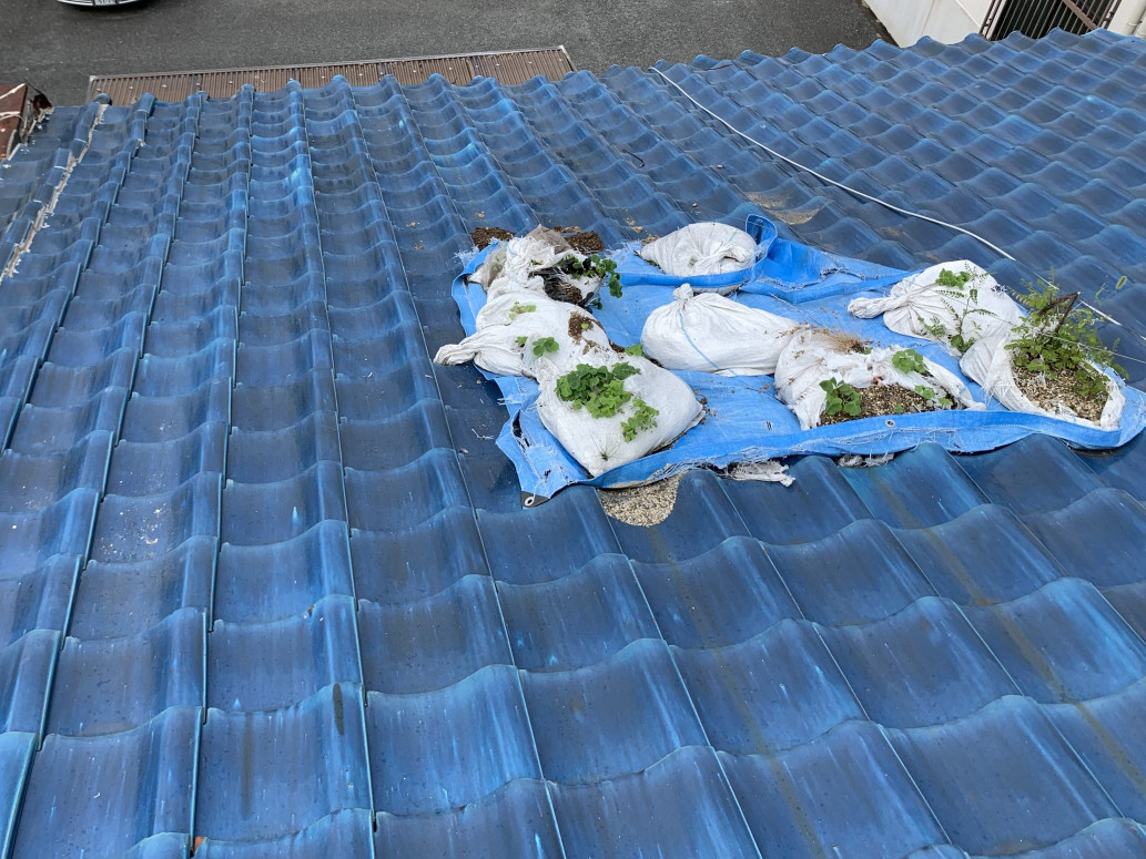 部分的にブルーシートが掛けられた瓦屋根