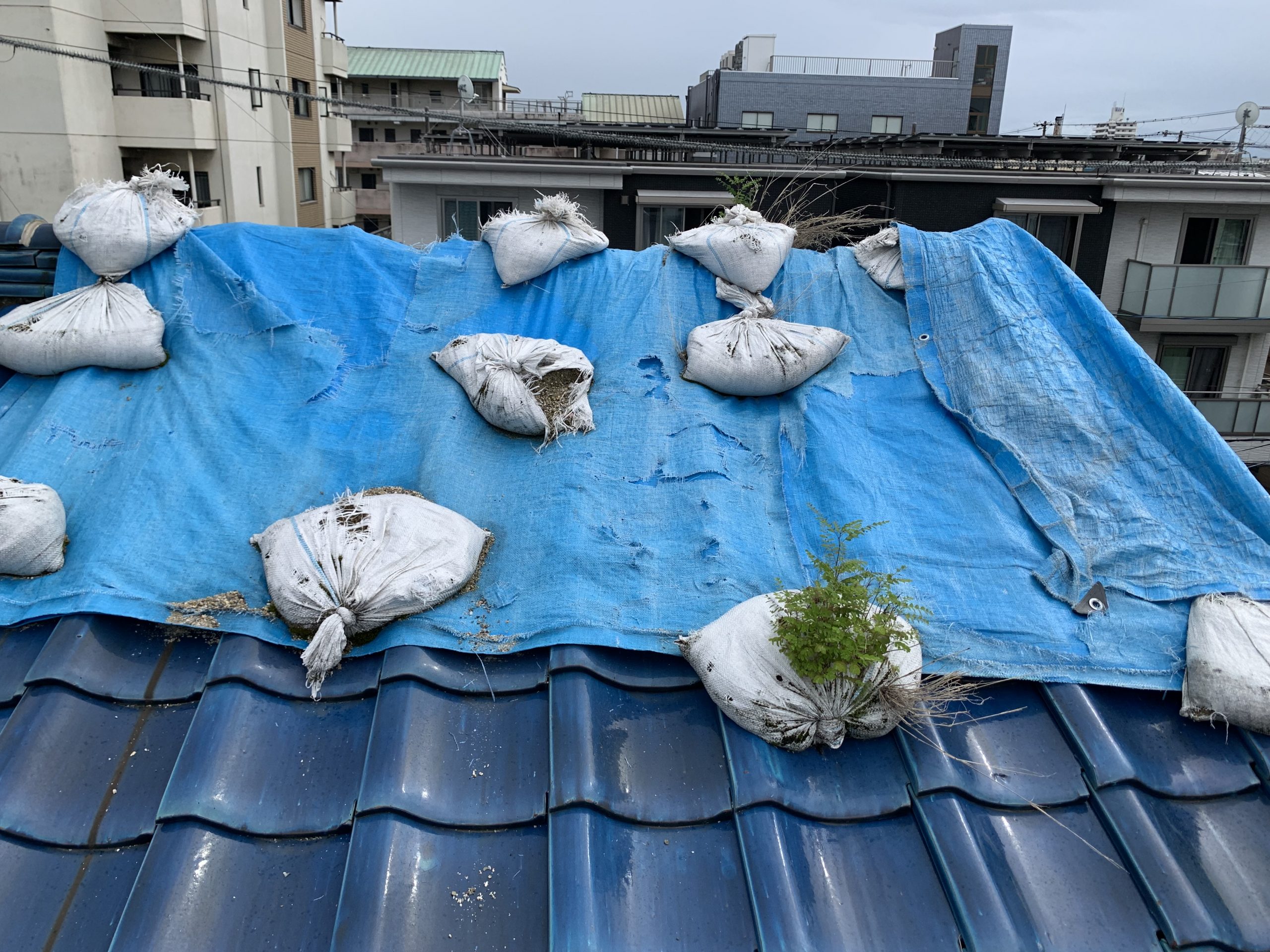 修理前の瓦屋根