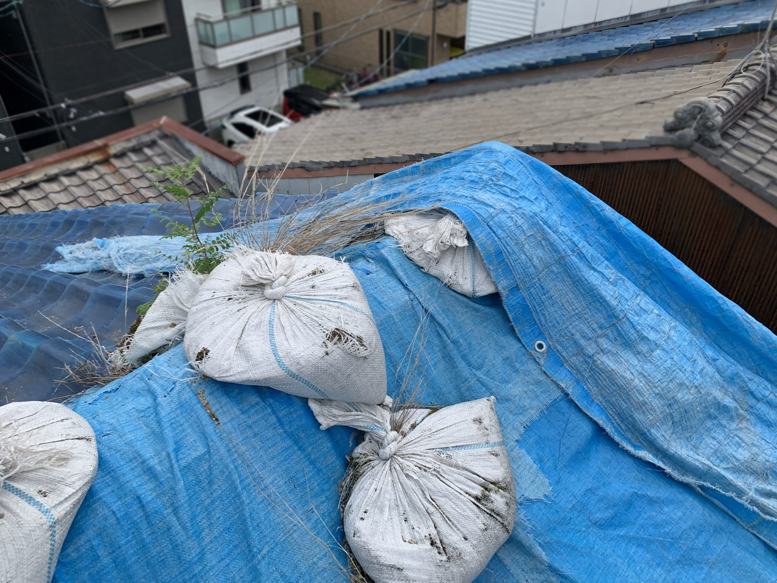ブルーシートが張られた青い瓦屋根