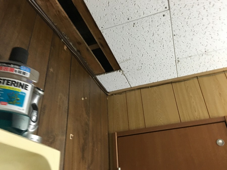 雨漏り箇所