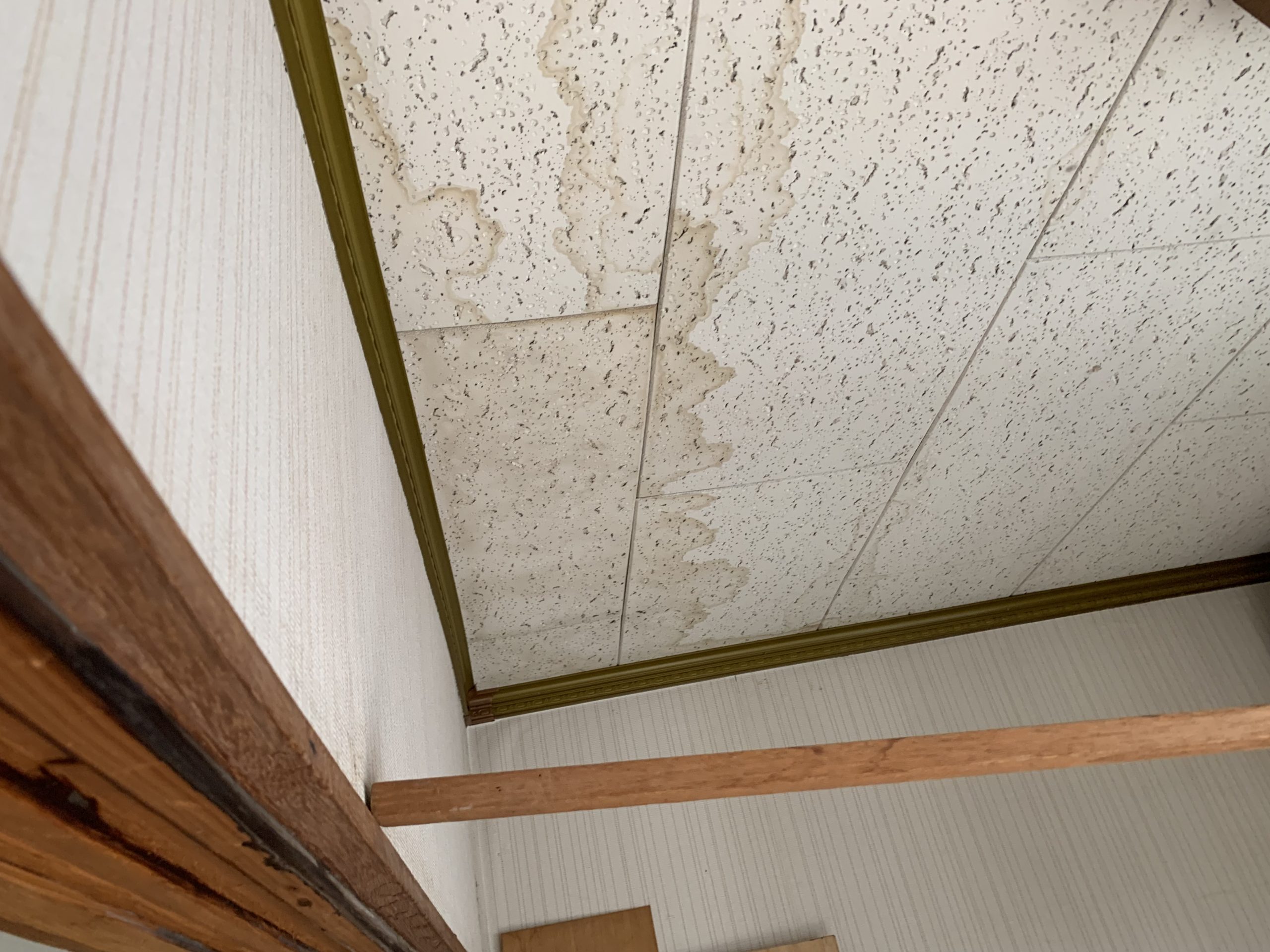 シミが広がる天井