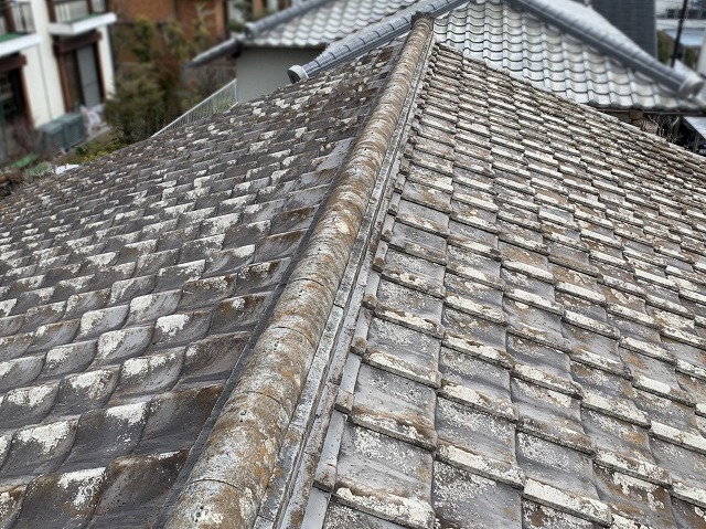 雨漏り原因となっているセメント瓦の屋根