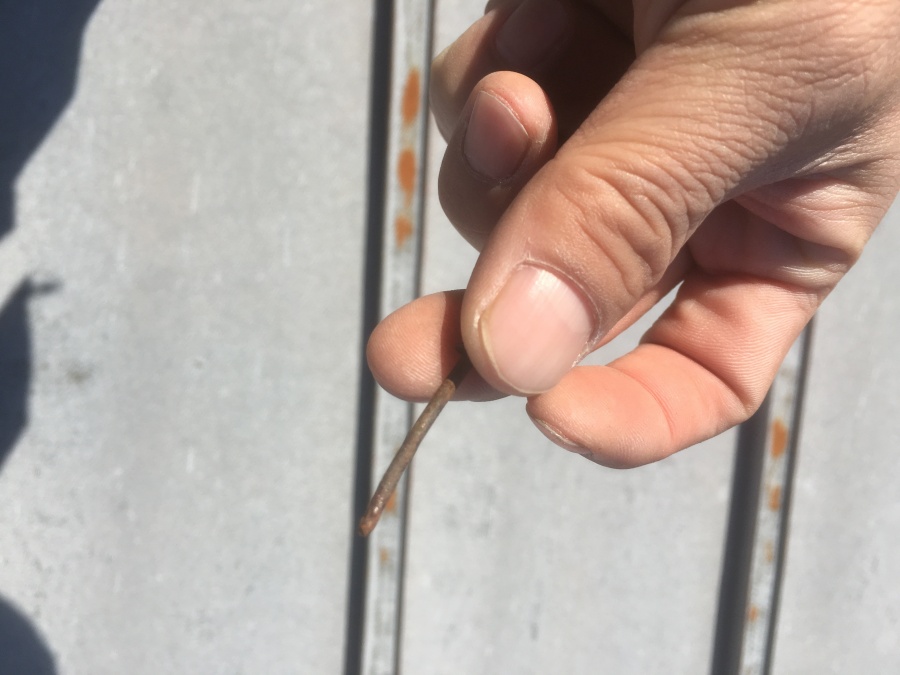 劣化し抜けてしまった釘