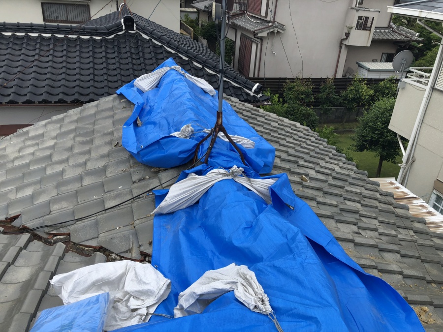 瓦の歪みをブルーシートで養生カバー