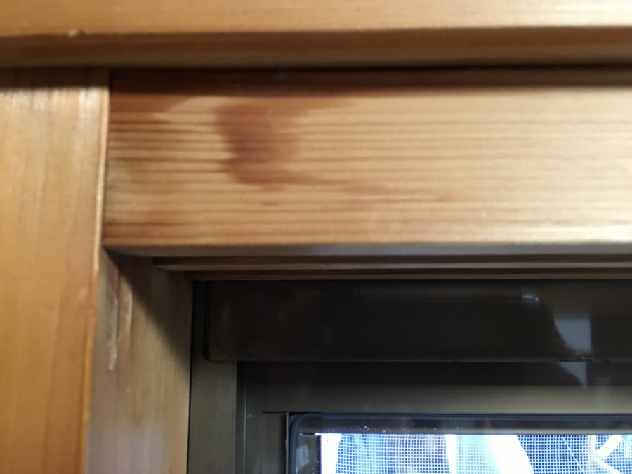 門真市の雨漏り現場