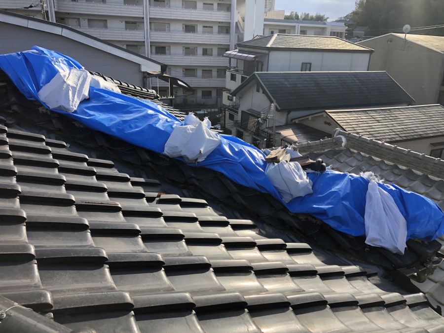 台風後応急処置として覆ったブルーシート