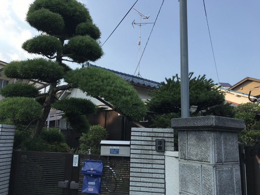 青い瓦屋根の和風の建物全貌