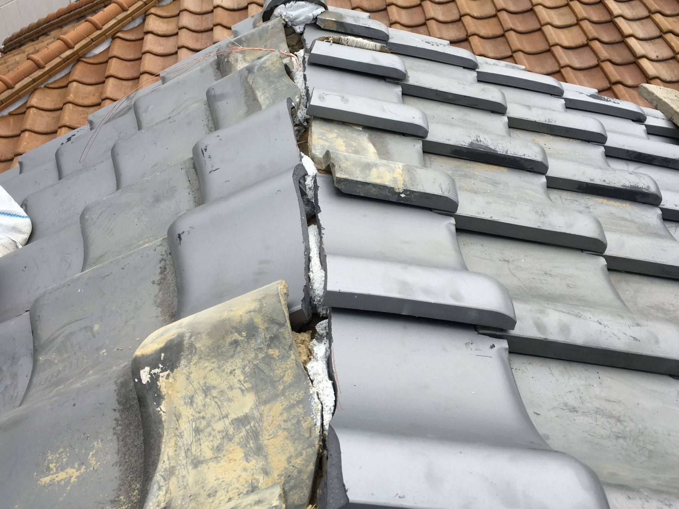 おいあて調整後の棟