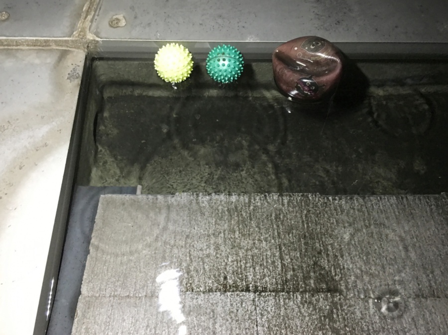 雨水が溜まってプール状になった屋根面