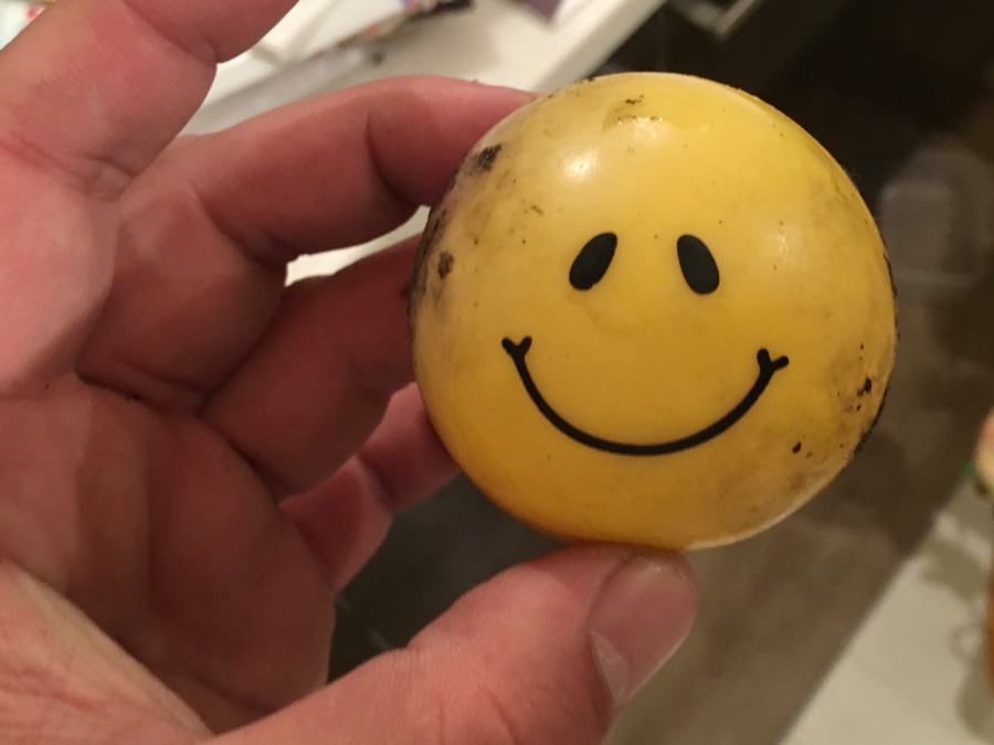 雨漏り原因となっていたゴムボール