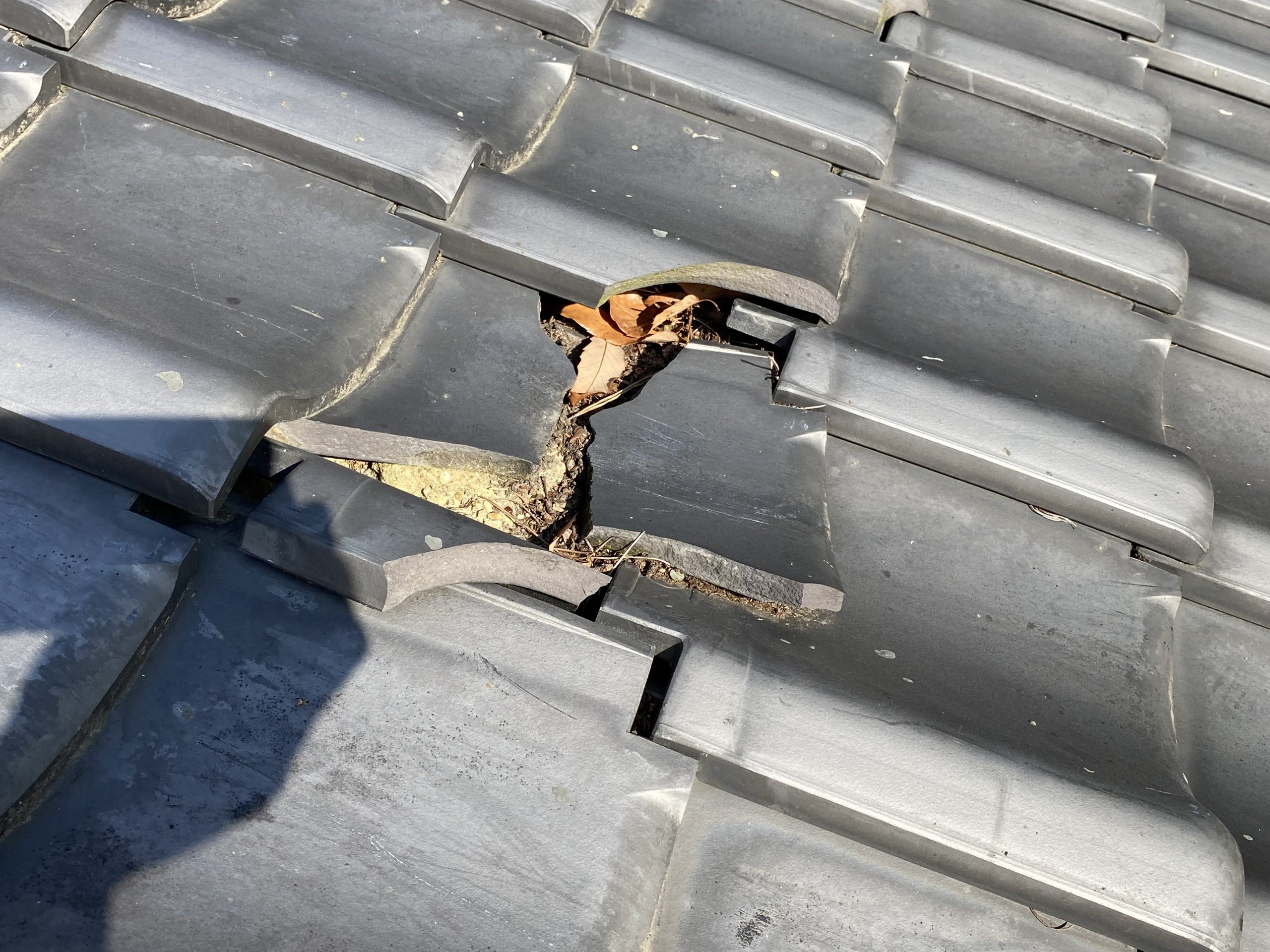屋根に瓦の割れを発見