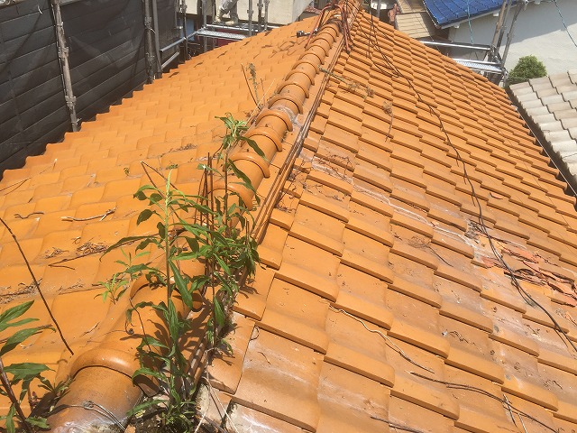 太陽熱温水パネル撤去後の瓦屋根