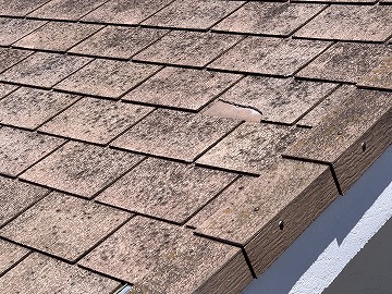 カラーベスト割れ