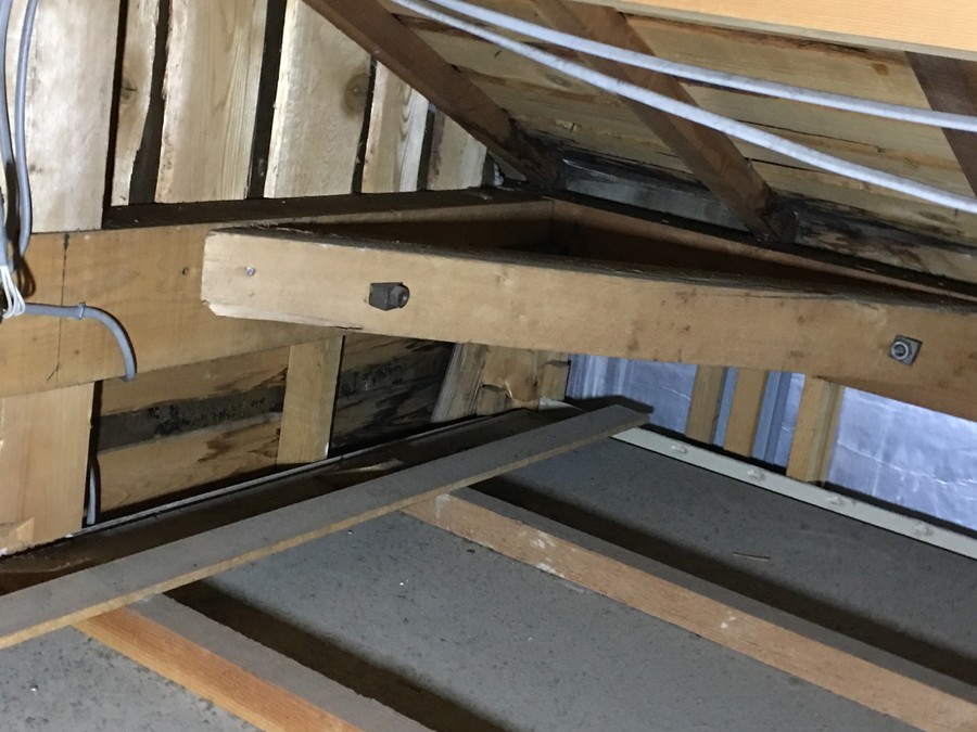 雨漏り箇所真上にあたる天井裏