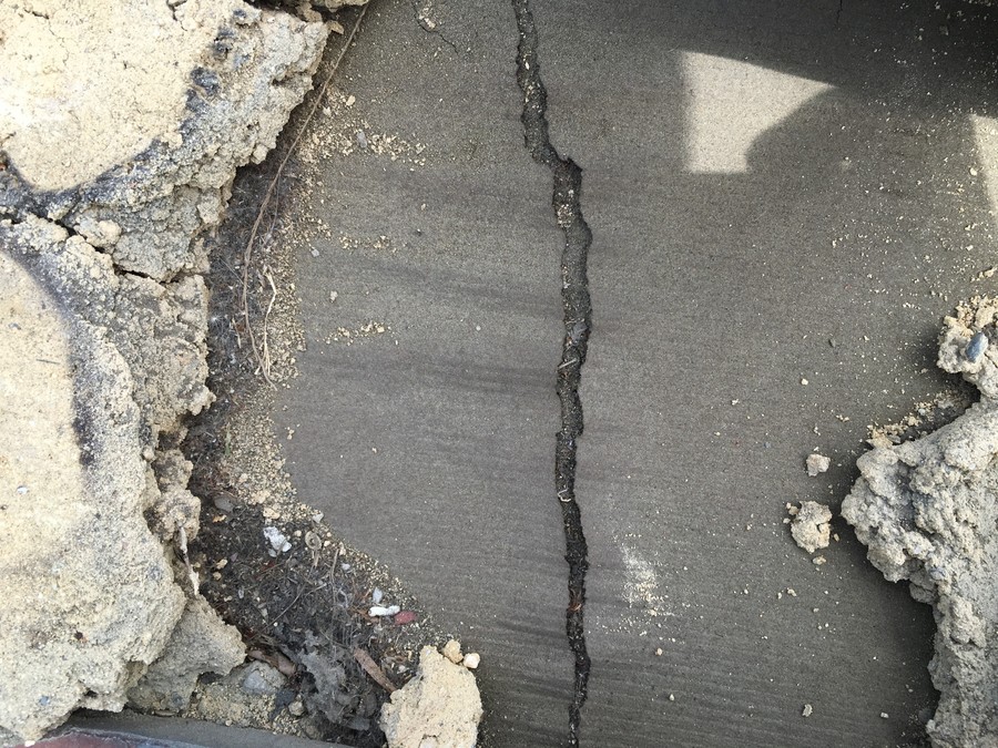 箕面市　雨漏り点検　屋根点検