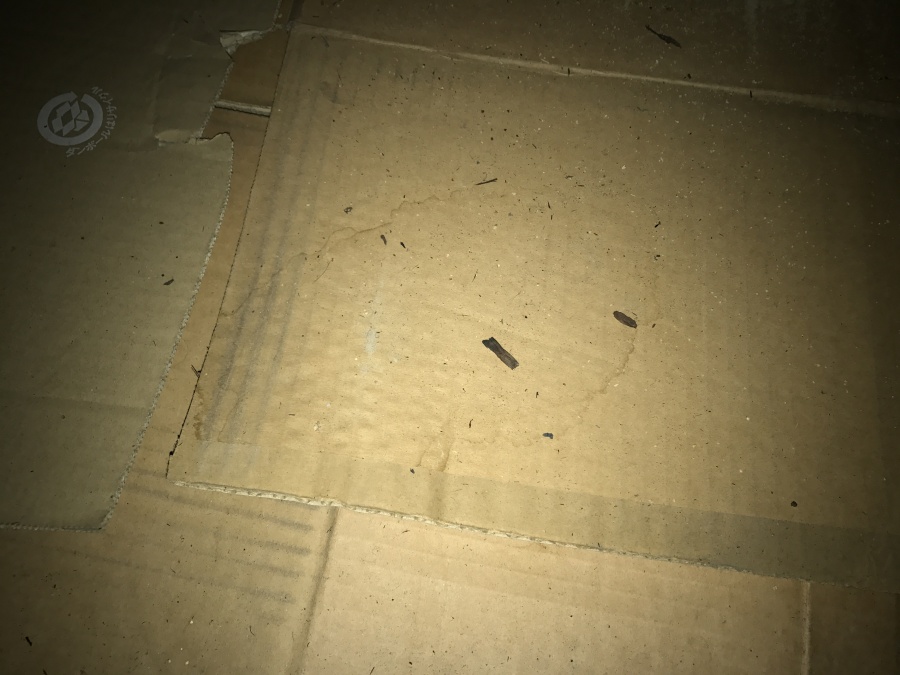 雨漏り応急処置の段ボール