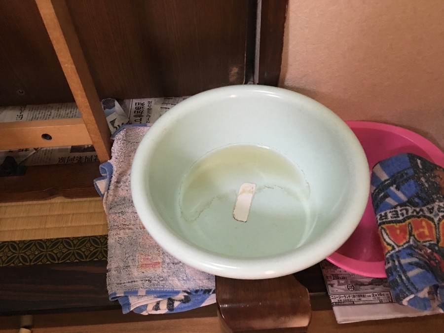 洗面器に溜まった雨水