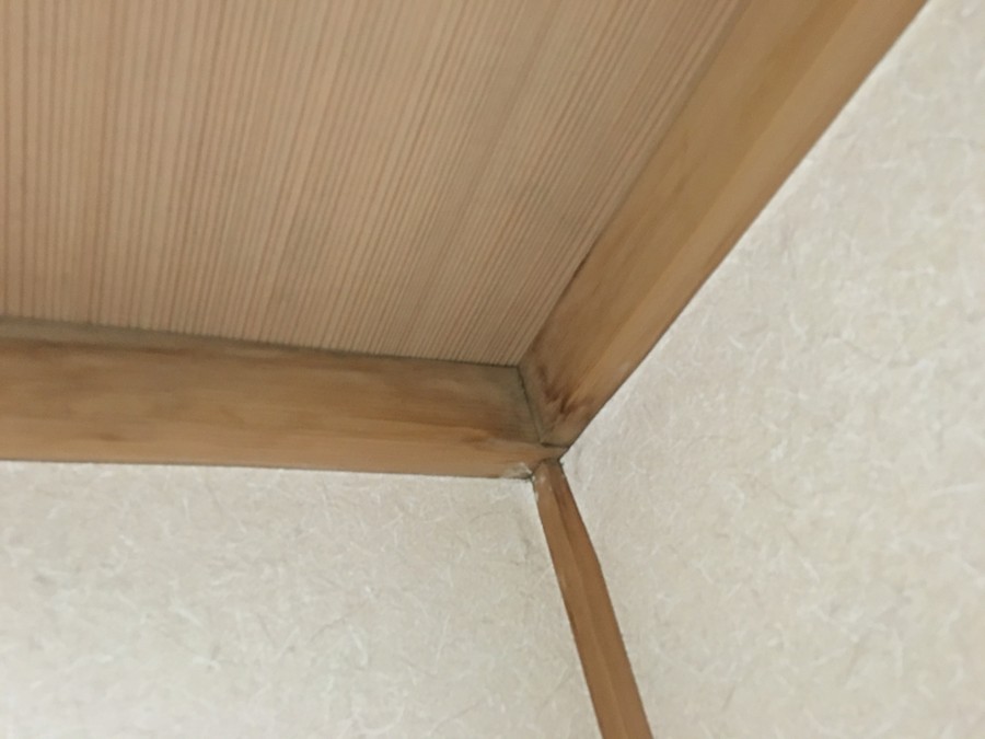 天井の雨染み(角)