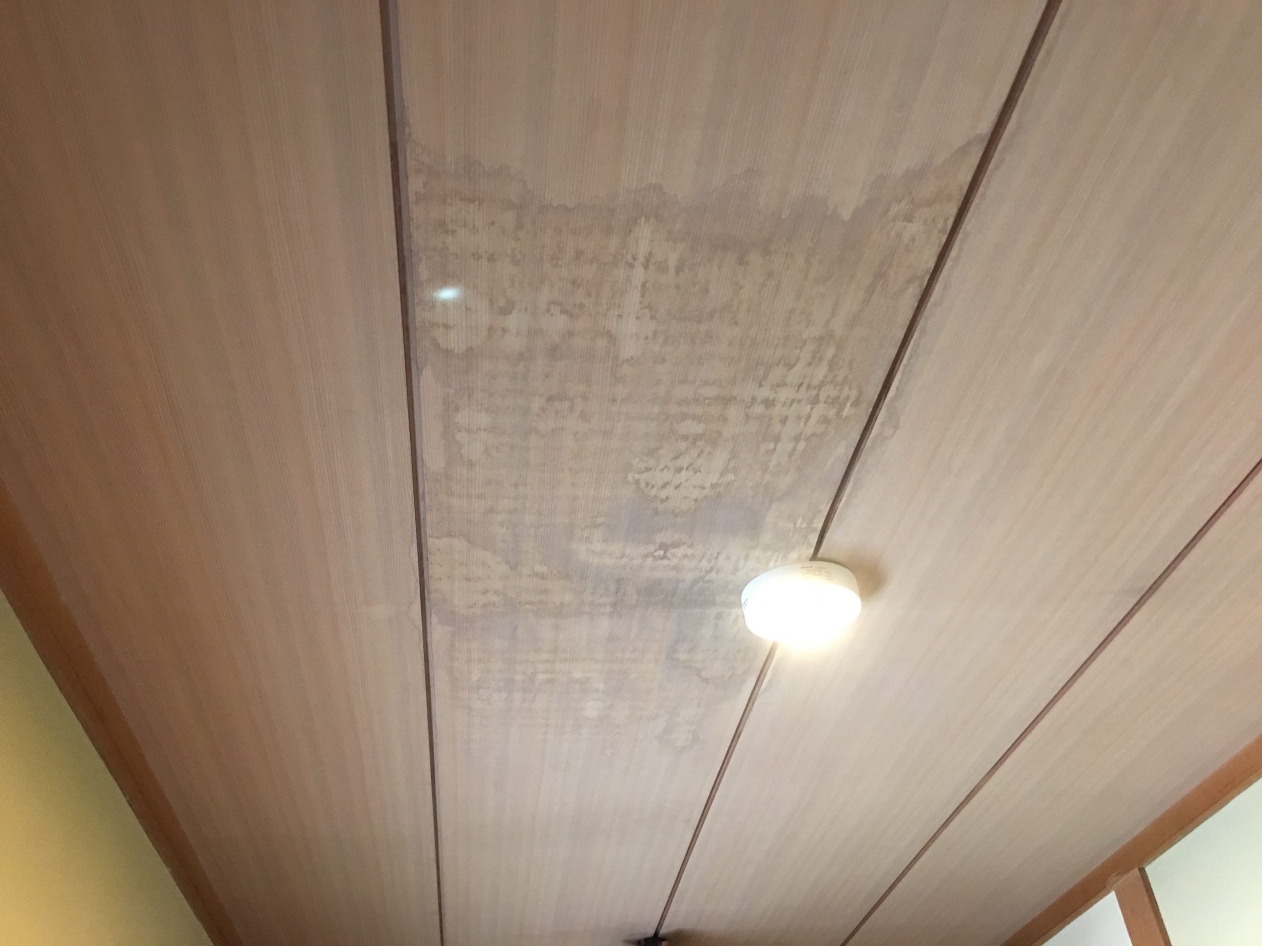 雨漏りが疑われる天井