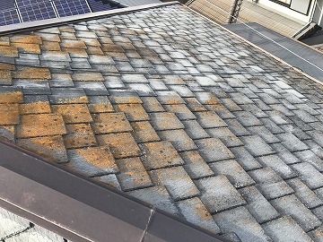 屋根塗装　屋根にコケ