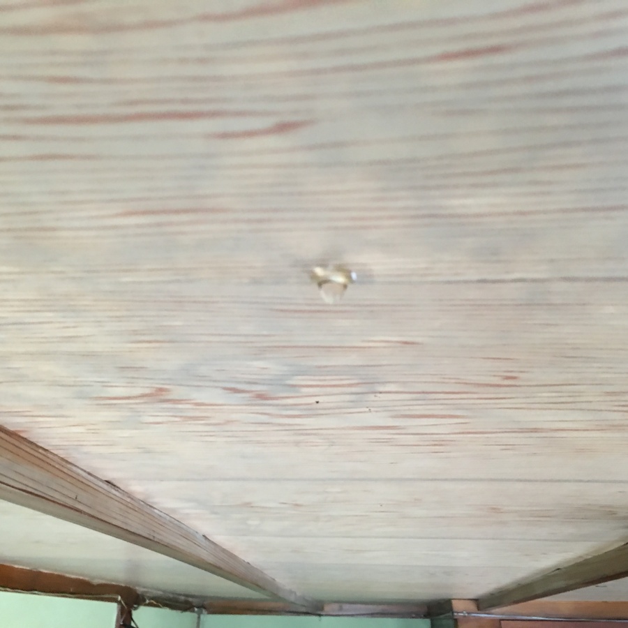 天井雨漏りの雨水