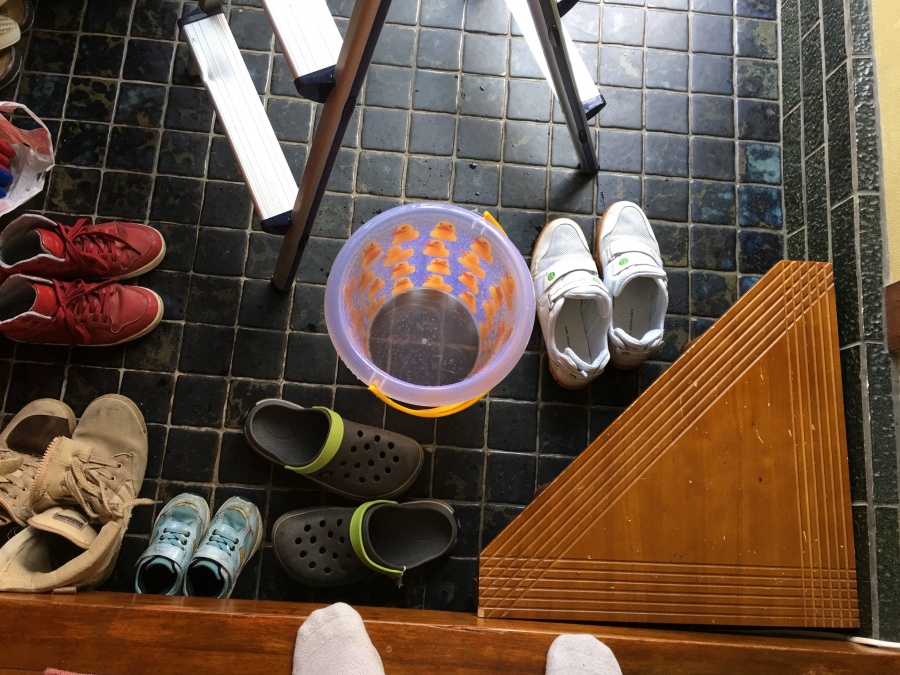 雨漏りの雨水を受けるバケツ