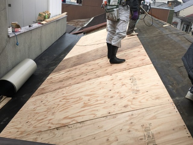 新設した野地板