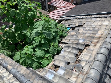 瓦屋根崩壊