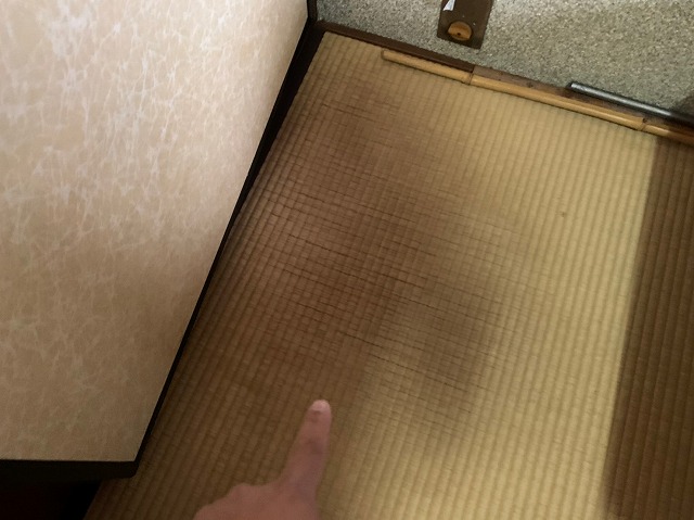 室内畳雨染み