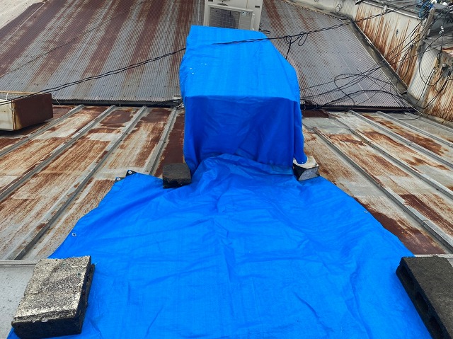 瓦棒屋根ブルーシート養生