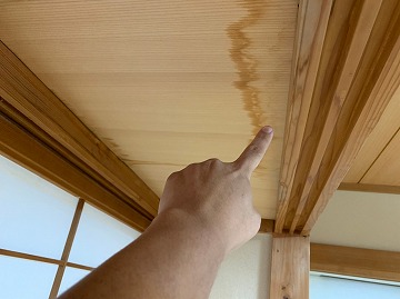 雨漏り調査