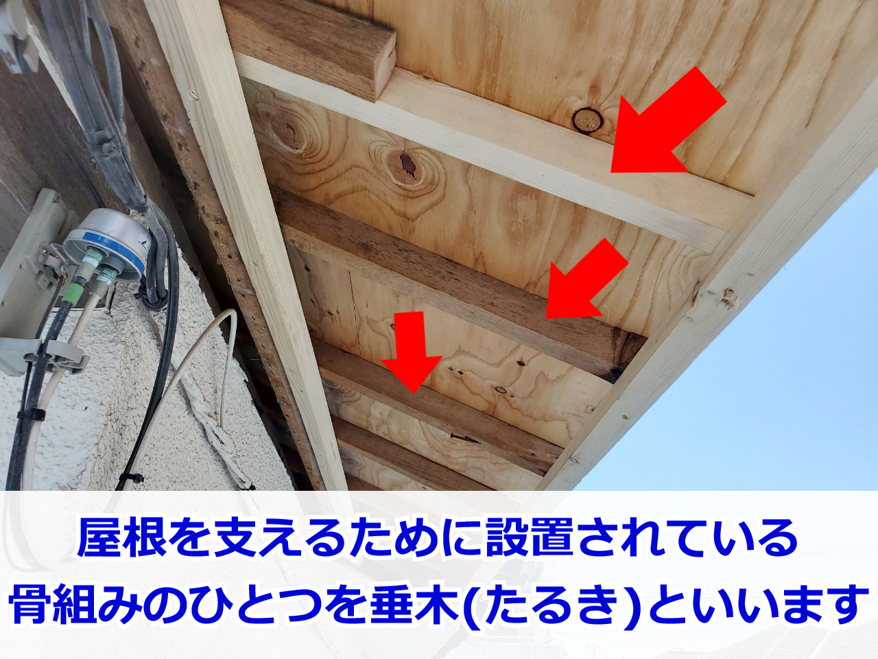 軒天からみた垂木(たるき)