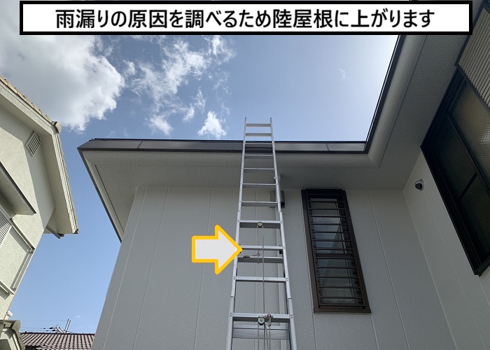 大阪市｜陸屋根シート防水からの雨漏りを無料点検とご提案